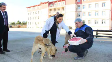 Amasya’da Meslek Liseliler Yemek Artıklarını Kedi ve Köpek Mamasına Dönüştürdü