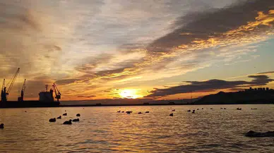 Aralık Ayının Sonunda Sıcaklık Mevsim Normallerinin 10 Derece Üstüne Çıktı