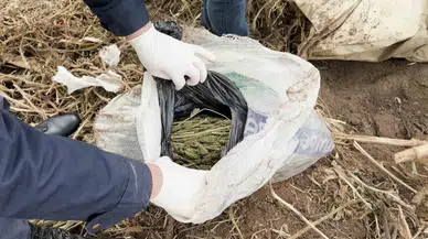 Bahçeye Gömdüğü Uyuşturucu ile Yakalanan Şahıs Tutuklandı
