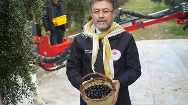 Bakan Yumaklı Açıkladı: "Zeytinyağı Istırabımız Yok"