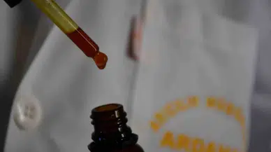 Bal Arılarının Ürettiği Propolis Ayrıştırılıyor