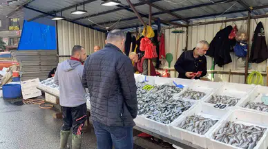 Balık Fiyatları Fikir, Ağır İlgi Başladı