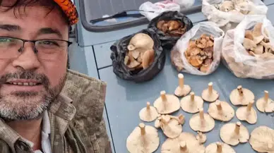 Bayramiç’te Kanlıca Mantarı Köylünün Gelir Kapısı Oldu