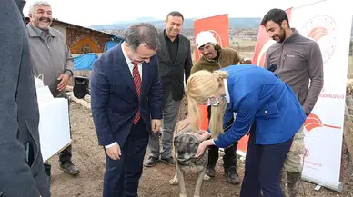 Bu Hastalık Köpeklerden İnsanlara Bulaşıyor