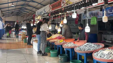 Büyük Balık Küçük Balığı Yiyemedi, Hamsi Bollaştı