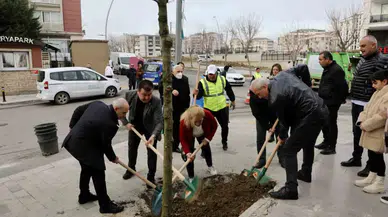 Büyükçekmece’de 2024 Yılına 24 Mahallede Ağaç Dikerek Girildi