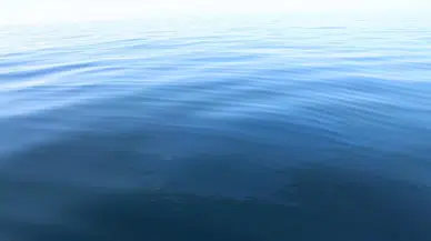 Çayelililerin Petrol Sevinci