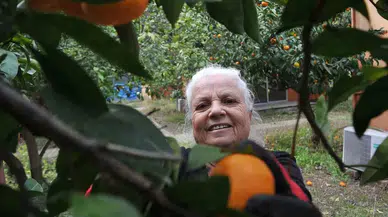 Çocukları Üzere Baktığı Bahçesindeki Meyvelerini Yetim ve Öksüz Çocuklara Gönderiyor