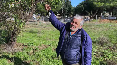 Datça’da Badem Ağaçları Çiçek Açtı