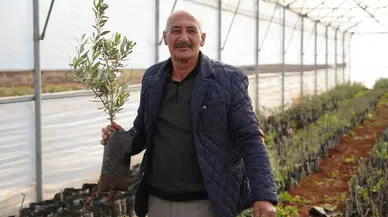 Emekli İmam Kurduğu Serada Siparişlere Yetişemiyor
