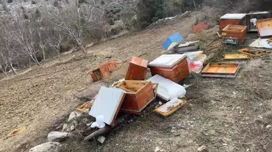 Emet’te Ayılar 36 Kovanı Parçaladı, Arılar Telef Oldu