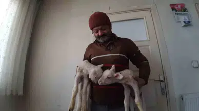 İkiz Kuzular Konutun Maskotu Oldu