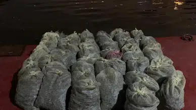 İstanbul’da 1 Buçuk Ton Kaçak Midye Ele Geçirildi