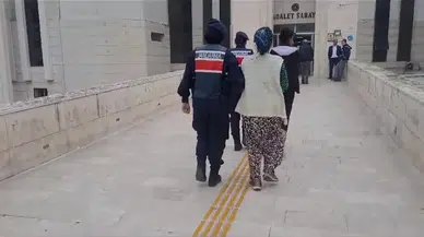 Jandarmadan Zeytin Hırsızlarına Gece Baskını...2 Kişi Gözaltına Alındı