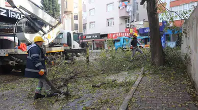 Kartal’da Ağaç Budama Çalışmaları Devam Ediyor