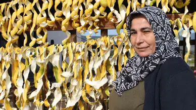 Kolundan Kilosu 30 Kuruş, Kabuğu 17 Lira