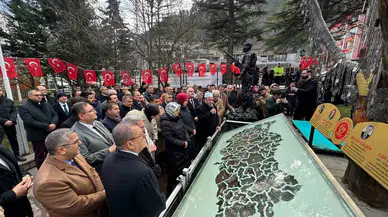 Kuzey Irak Şehitlerinin Künyeleri Şehit Ağacı’nda