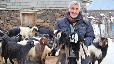 Muş’ta Yüksek Rakımlı Köyler Kara Gömüldü