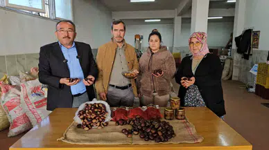Nazilli’de Kestane Üreticileri, Çin Kestanesine Karşı Coğrafik İşaretli Eserlerine Sahip Çıktı