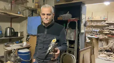 Ölen ve Kuşağı Tehlike Altında Olan Hayvanların İçlerini Doldurarak Gelecek Kuşaklara Aktarıyor