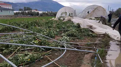 Samandağ’da Çıkan Hortum Seraları Yerle Bir Etti