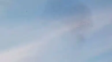 Sığırcıklardan Görsel Şölen