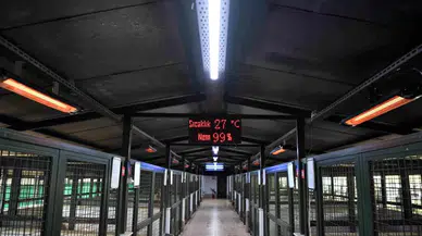 Sokak Hayvanları İçin Tam Vakitli Isıtıcılar Devrede