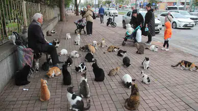 Sokak Kedilerinin ’Kedici Babası’
