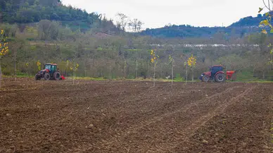Tarımda Ordu Modeli
