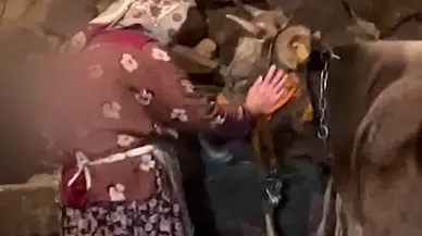 Umreye Gitmek İçin İneğiyle Vedalaşan Erzurumlu Nine Duygulandırmıştı