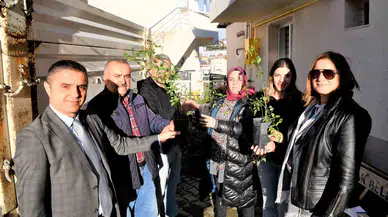Üreticiye 2 Bin 350 Kuşburnu Fidanı Dayanağı