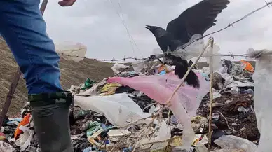 Vefat Çığlıkları Kurtarılma Esnasında Son Buldu