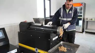 Yalova Altınova’da Yemek Atıkları Sokak Hayvanlarına Mama Oluyor