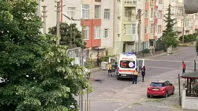 Yaşlı Adamı Demir Çubukla Döverek Öldürmüştü, "Tecavüz" Savında Bulundu