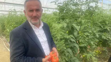 Yerli ve Ulusal 50 Çeşit Hibrit Tohumu 35 Ülkeye İhraç Ediyor