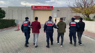 Zeytin Hırsızlığı Argümanıyla Adliyeye Sevk Edilen Zanlı: “Paşa Paşa Yatarız”