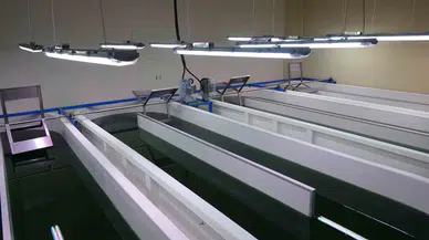 100 Gramı Bin Liradan Satılıyor