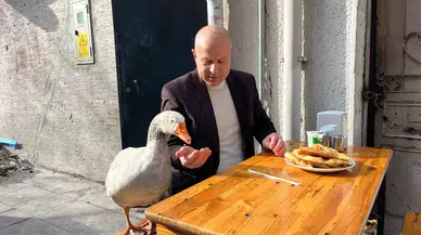 12 Yıllık Hafriyat ile Eskişehir’i Gezdi, Çi Börek Yedi