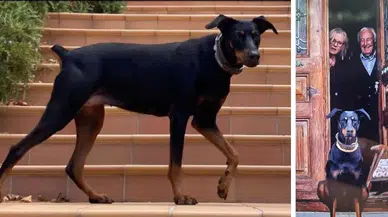 200 Gündür Haber Alınamayan Korhan Berzeg’in Araçla Kaçırıldığı Tez Ediliyor