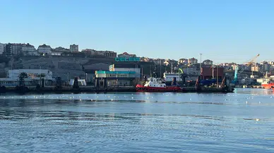 2024’ün Birinci Yüzen Ahırı Bandırma’da