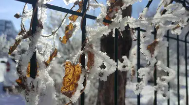 Ardahan’da Dondurucu Soğuklar: Göle Eksi 32 Derece