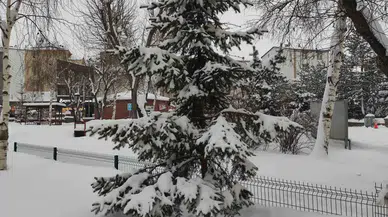 Ardahan’da Karla Gelen Eşsiz Hoşluk