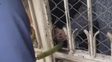 Asma Kilidin Anahtarın Kaybeden Yaşlı Bayan Meskeninde Mahsur Kaldı