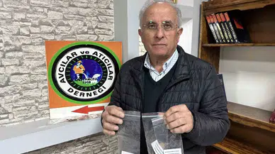 Ayıların Kentlere İnmesini Önlemek İçin Ormanlara Meyve Tohumları Ekiyorlar