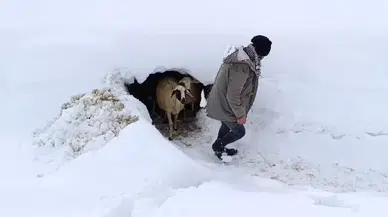 Bahçesaray’da Kar Tesirli Oluyor
