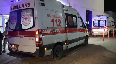 Balon Balığı Yiyen Ailede 6 Kişi Taburcu Edildi