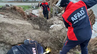 Batman’da Ahır Çöktü: 8 Yavru Köpekten 5’i Kurtarıldı