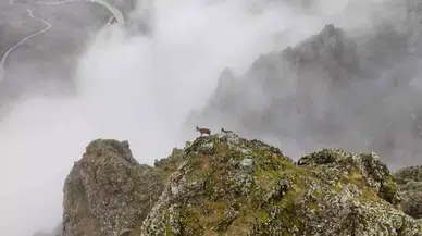 Belgeselleri Aratmayan İmajlar Erzincan’da Çekildi