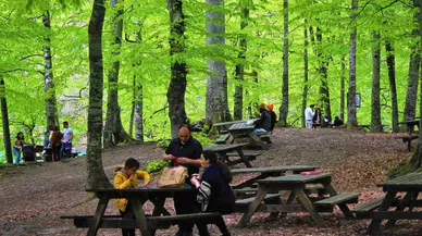 Bolu’nun Tabiat Mükemmelinde İnsan Faaliyetleri Doğal Dengeyi Bozuyor