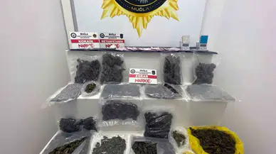 ’Breaking Bad’de İkinci Perde: Tekrar Tutuklandı